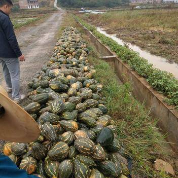 农产品批发供应商刘德财 - 惠农网电脑版