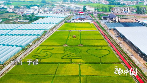 瞰中国丨江西于都 富硒农业托起富裕希望