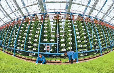 田野上的科技范儿