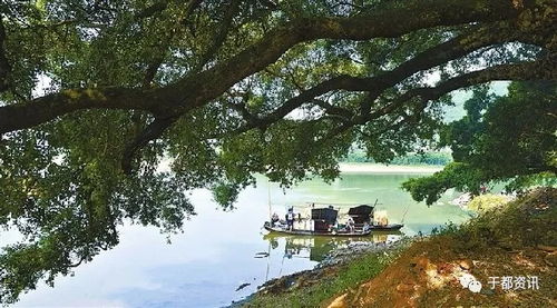 于都县段屋乡的建制区划