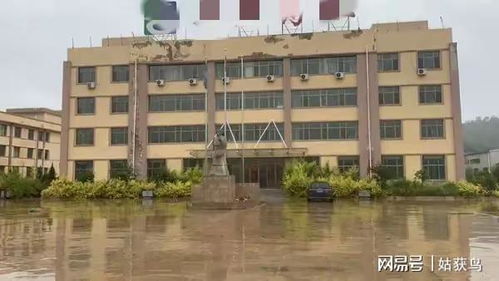 定西市工厂四度流拍，3195.3万元无人问津背后的产业困局