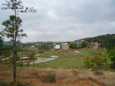 胜利村 赣南革命老区的红色记忆与美丽乡村