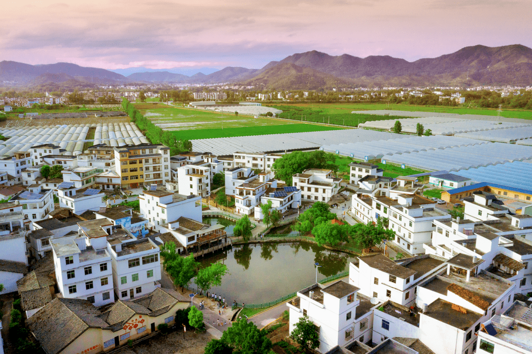 喜报！赣州三村镇荣登省级示范榜单，于都县独占一席引家乡骄傲