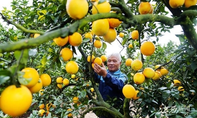 老区不老,发展势头正好——于都县高质量发展观察