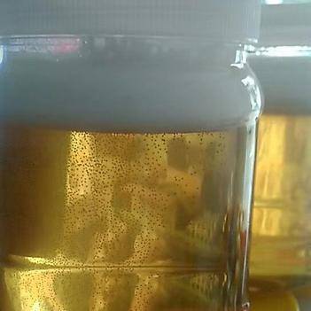 农产品批发供应商张武成 于都县惠农网电脑版上的实干家