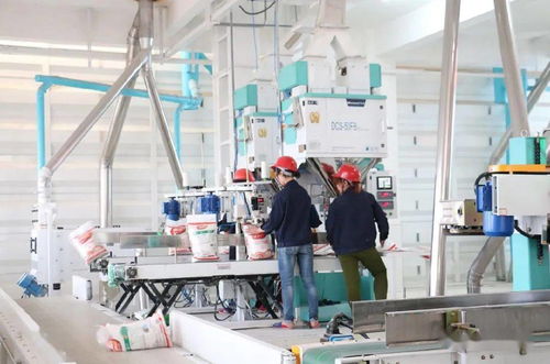 衡阳县生态农业成果闪耀 于都县特色农产品喜获两项殊荣