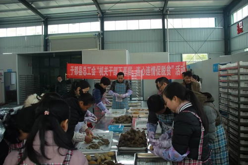 于都县总工会开展“机关干部下基层,连心连情促脱贫”活动纪实